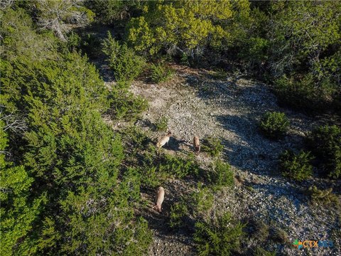 Secluded Land in Elk Mountain