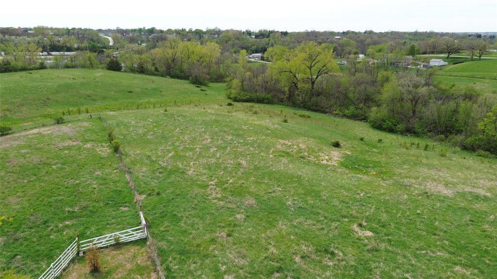 Picture 12