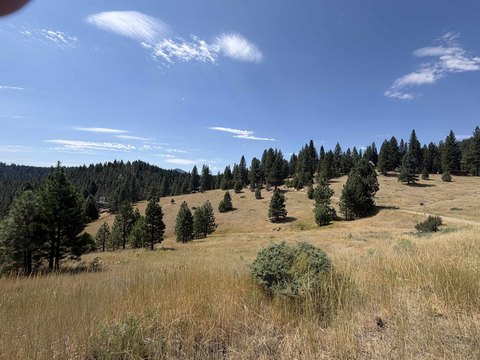 Land, Portola, CA
