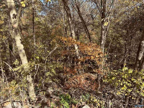 Residential Land in Legacy Preserve