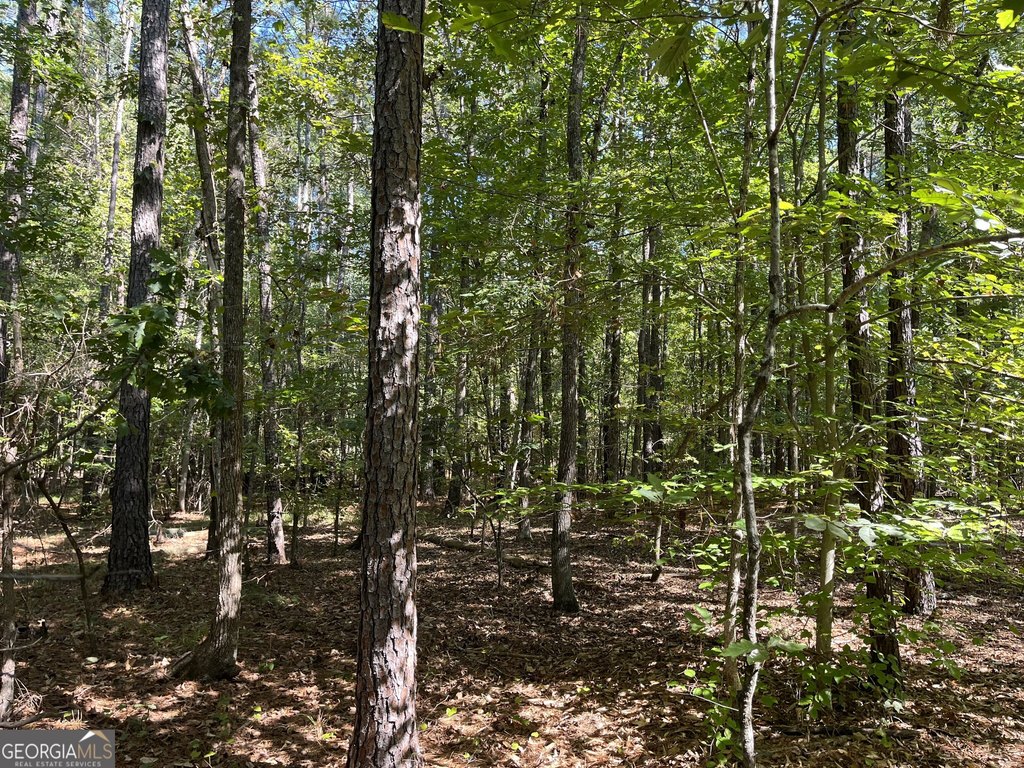 Picture 25