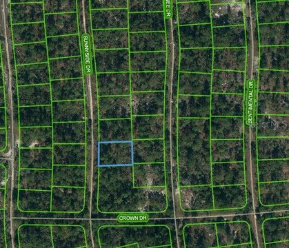 Residential Land in Lake Placid
