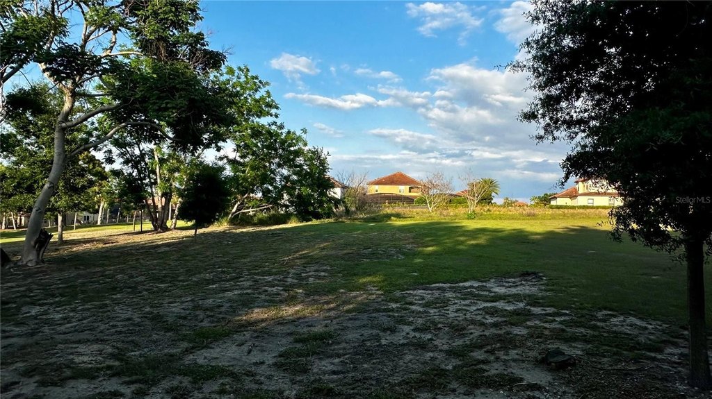 Picture 25