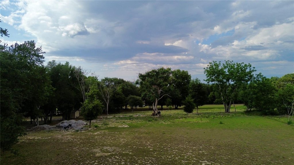 Picture 28