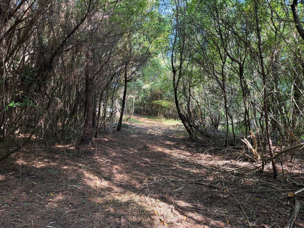 Picture 21