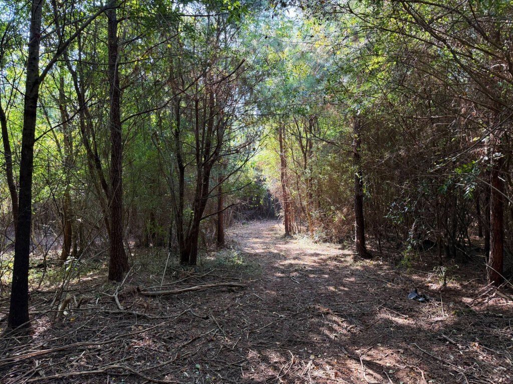 Picture 20