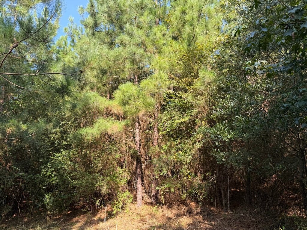 Picture 23