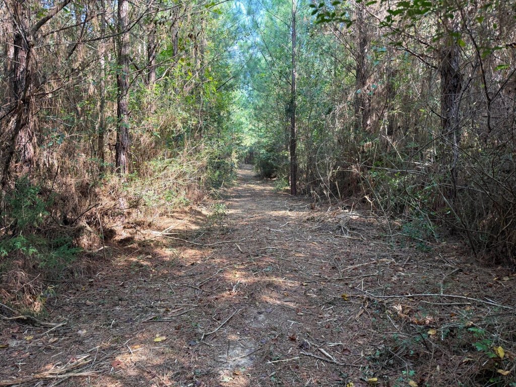 Picture 28
