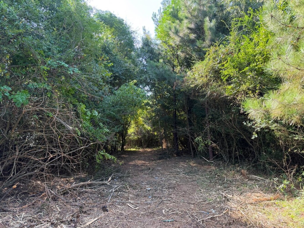 Picture 19