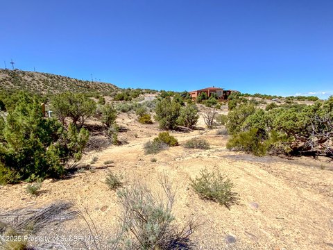LAND - Farmington, NM