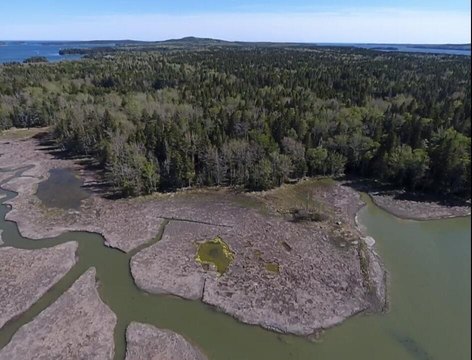 Waterfront Land in Steuben, Maine
