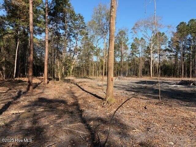 Leland Land Ready For Development