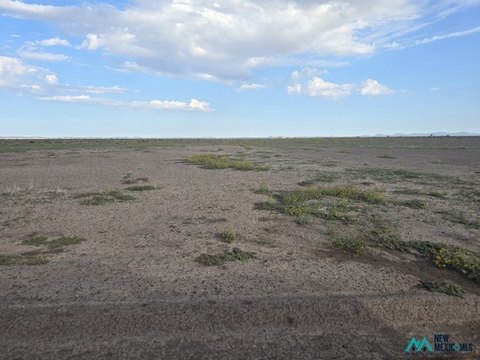 Land, Deming, NM