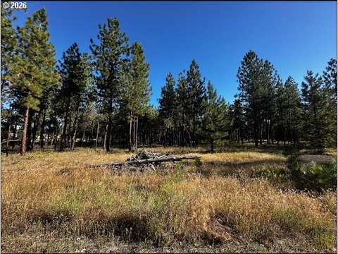 Land, Goldendale, WA
