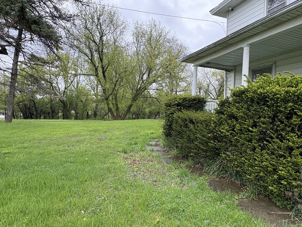 Picture 19