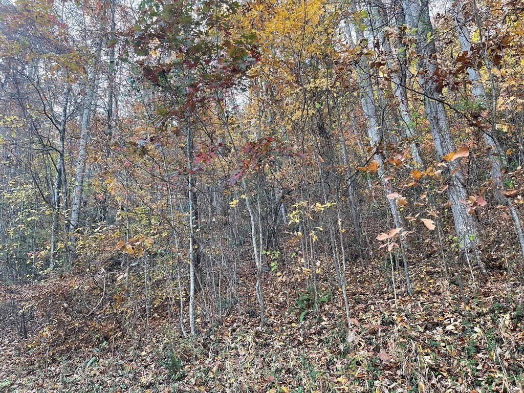 Picture 2