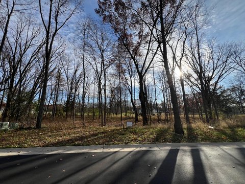 Residential Land in Delafield, WI