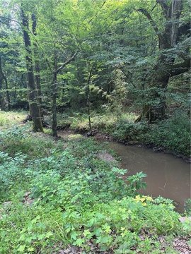 Land, Pineville, LA