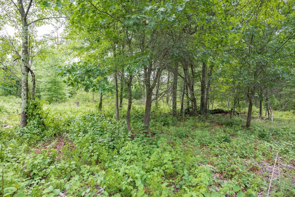 Picture 13