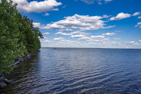 Lots & Acreage, Necedah, WI