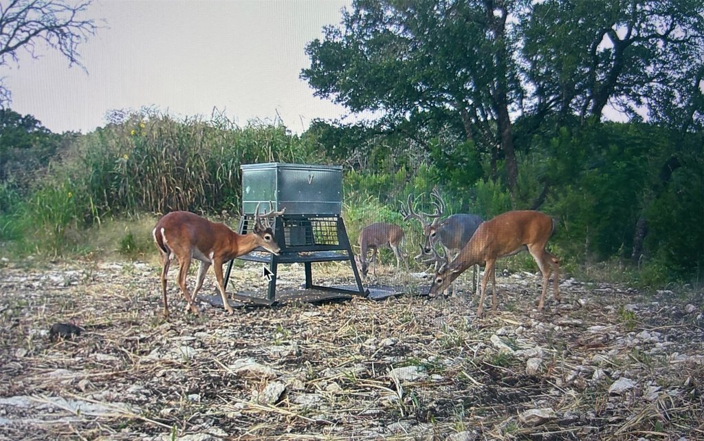 Picture 29