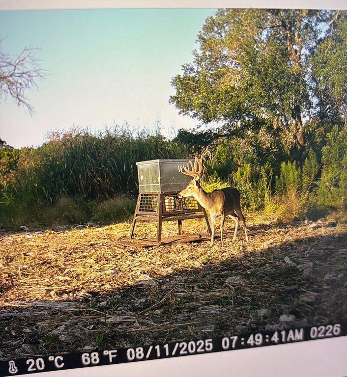 Picture 23