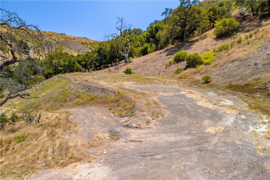 Picture 28