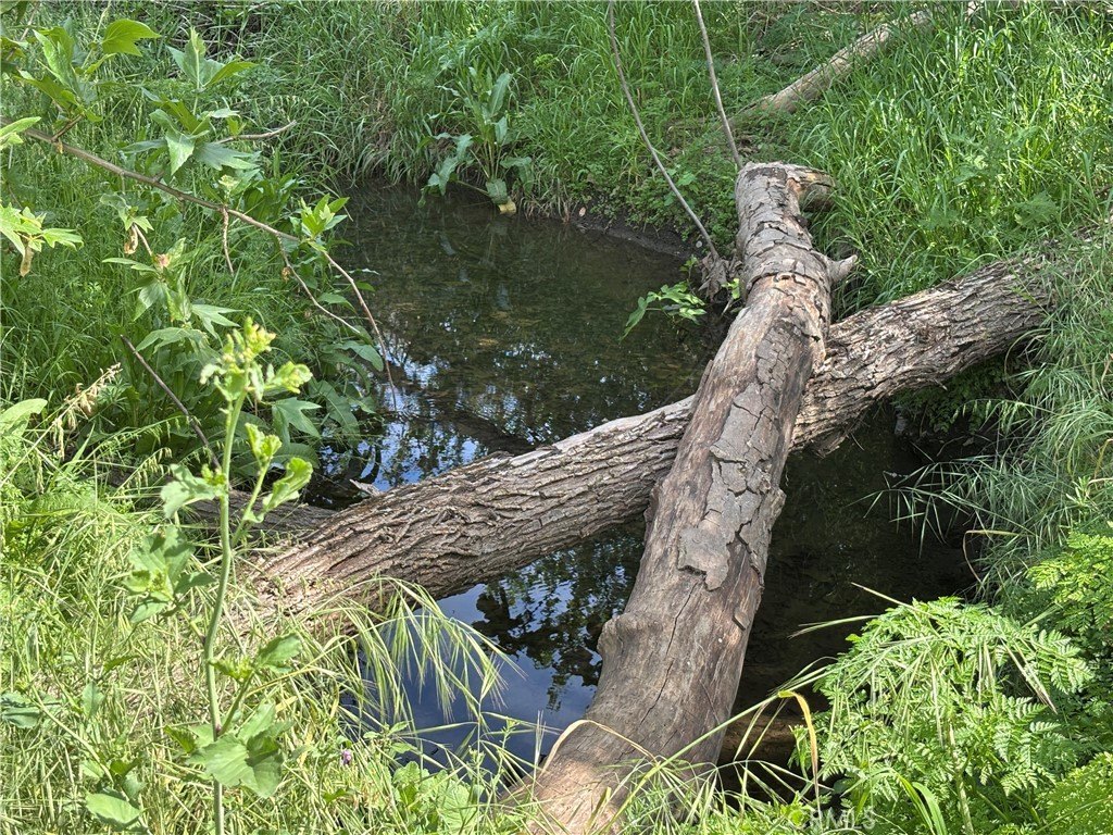 Picture 9