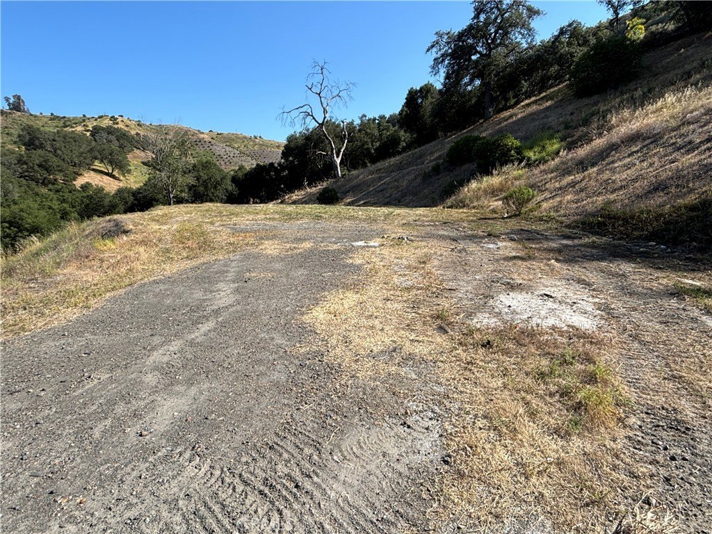 Picture 8