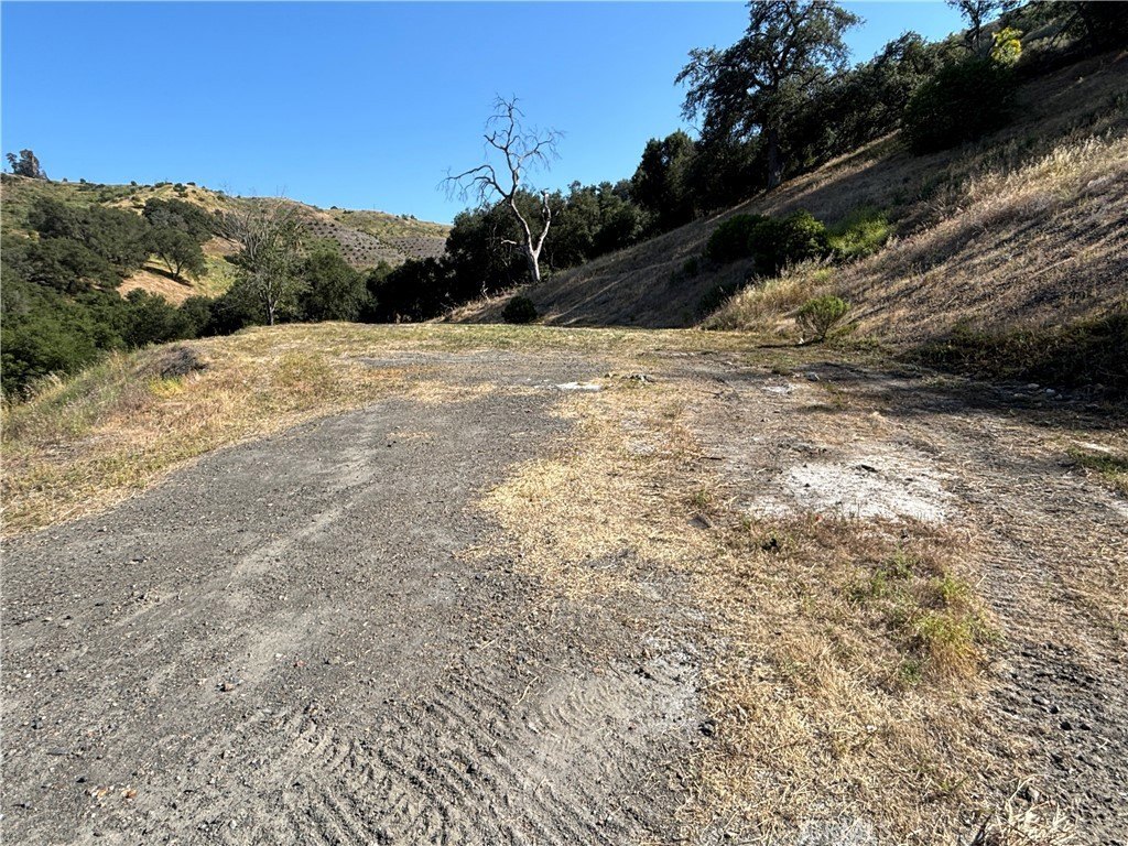 Picture 2