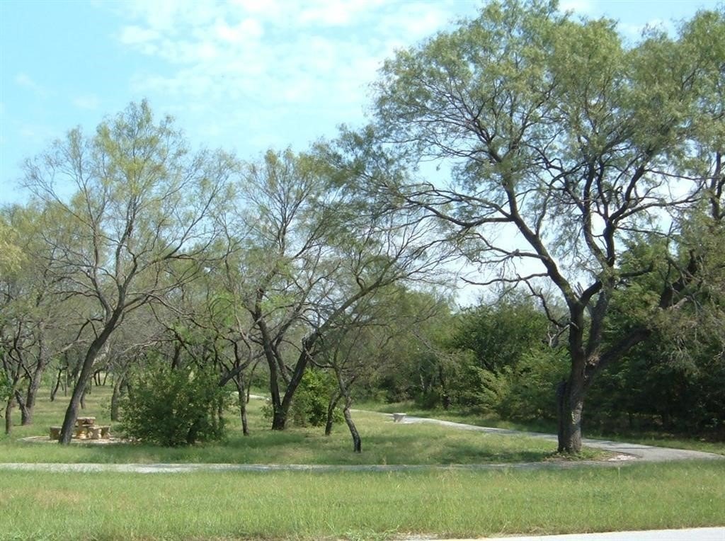 Picture 5