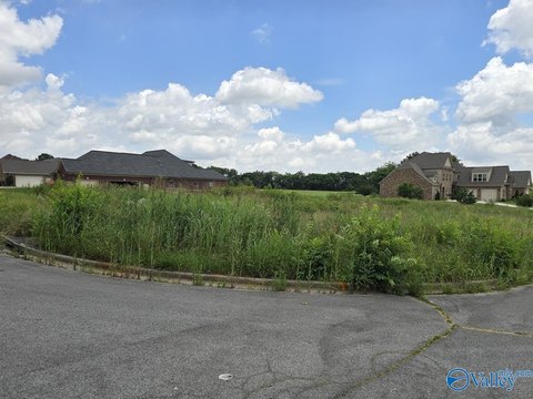 LAND - Madison, AL