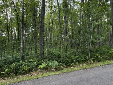 Wooded Recreation Land in Gated Community