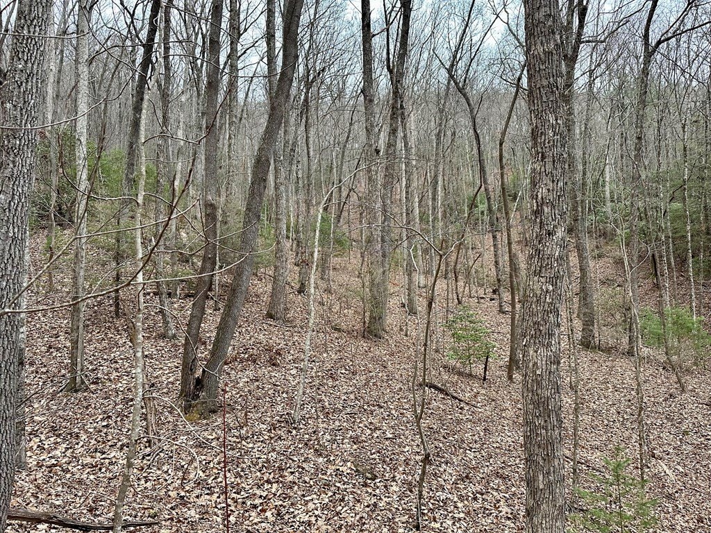 Picture 29