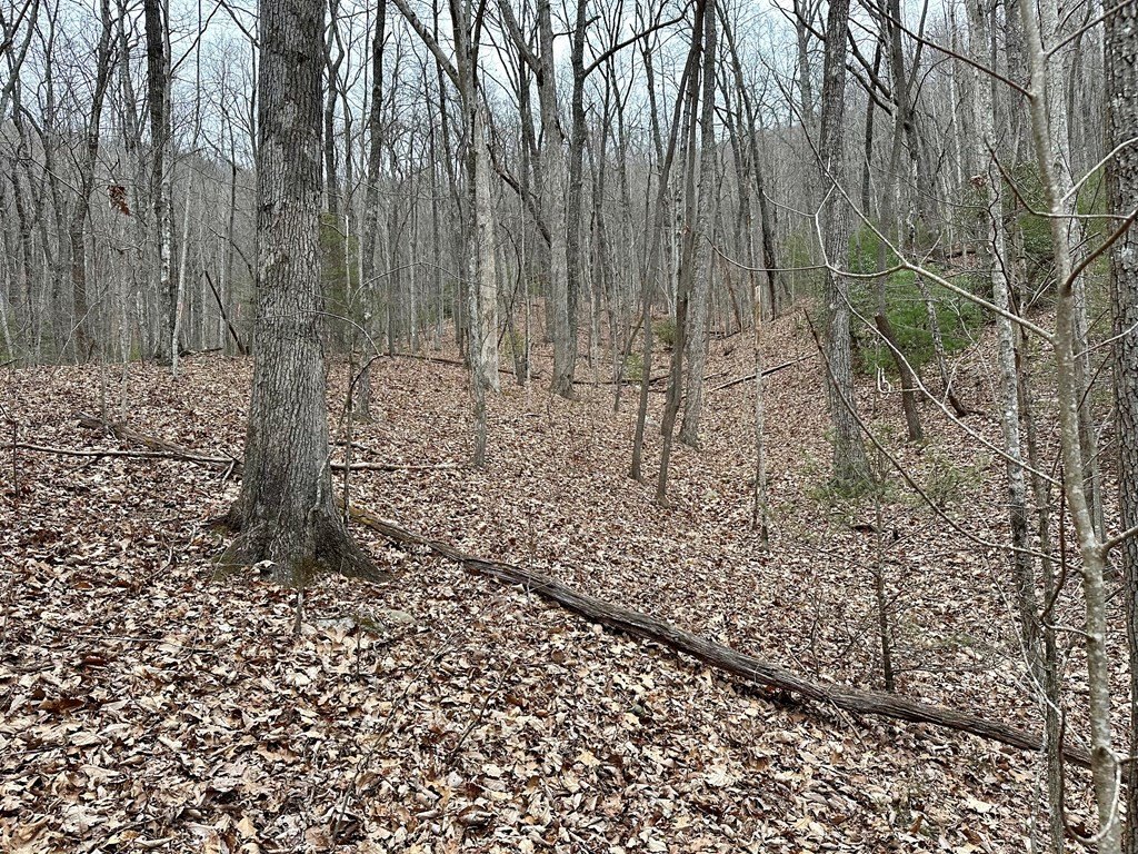 Picture 27