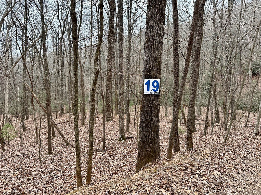 Picture 24