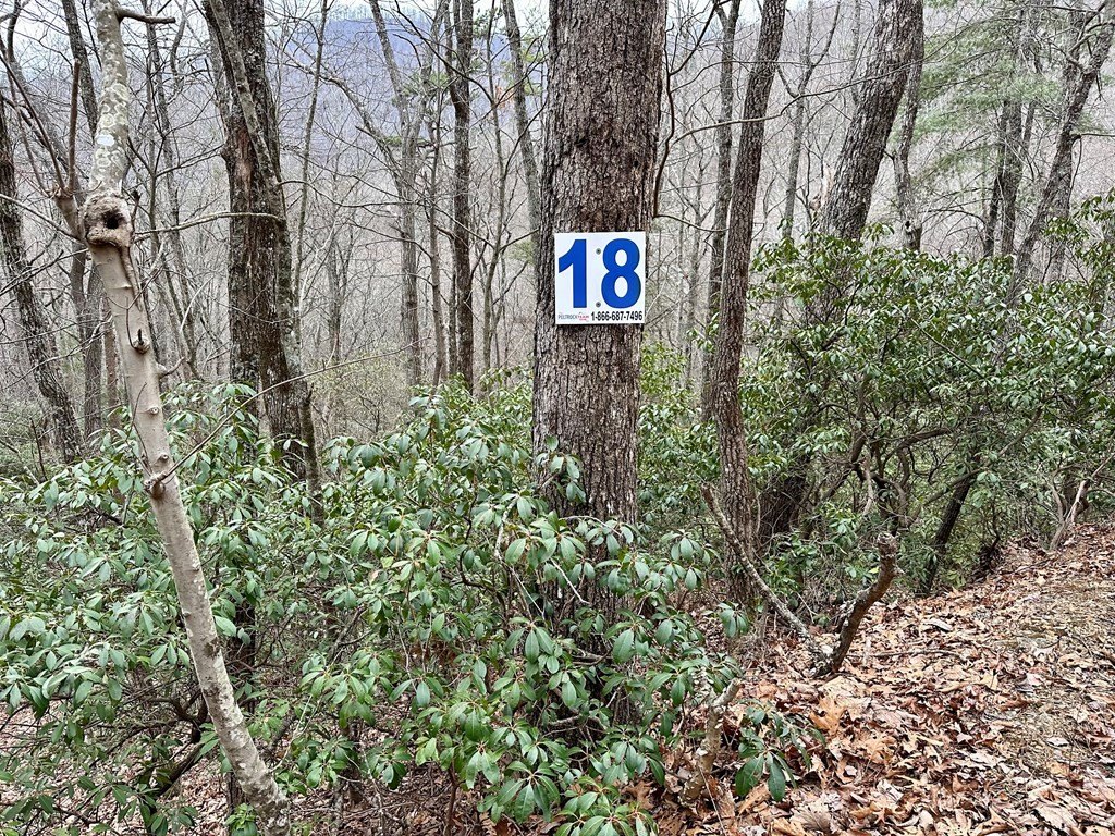Picture 17
