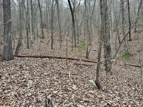 Land in Murphy, North Carolina