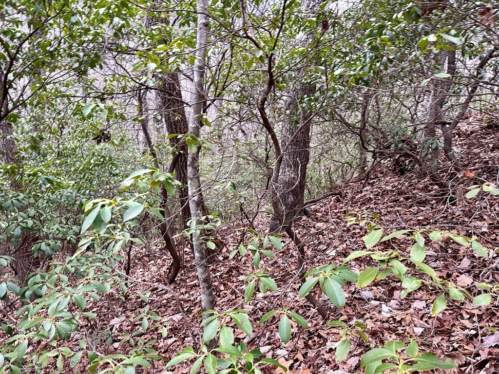 Picture 23
