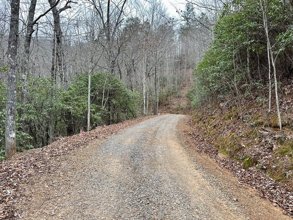Picture 4