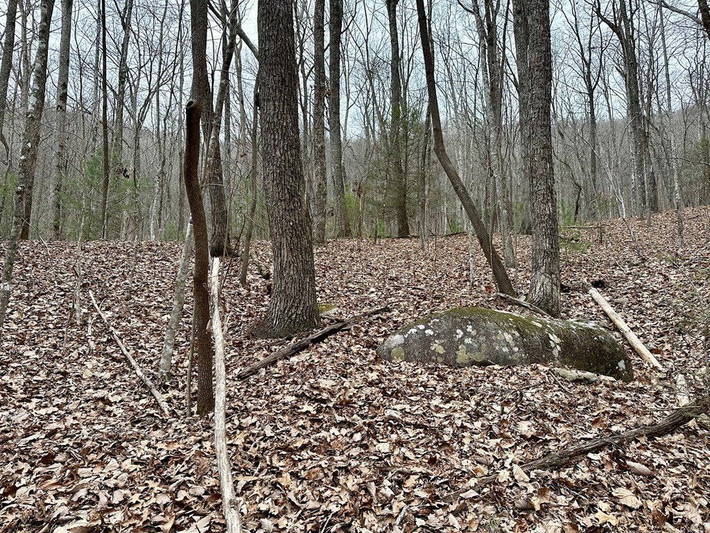 Picture 31
