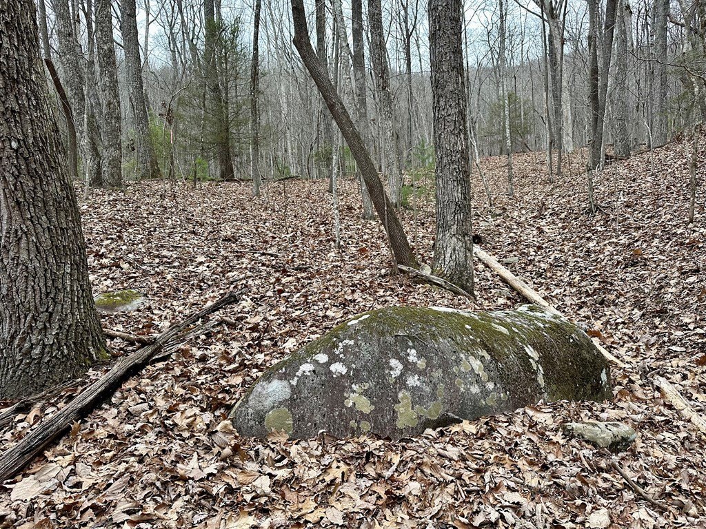 Picture 30