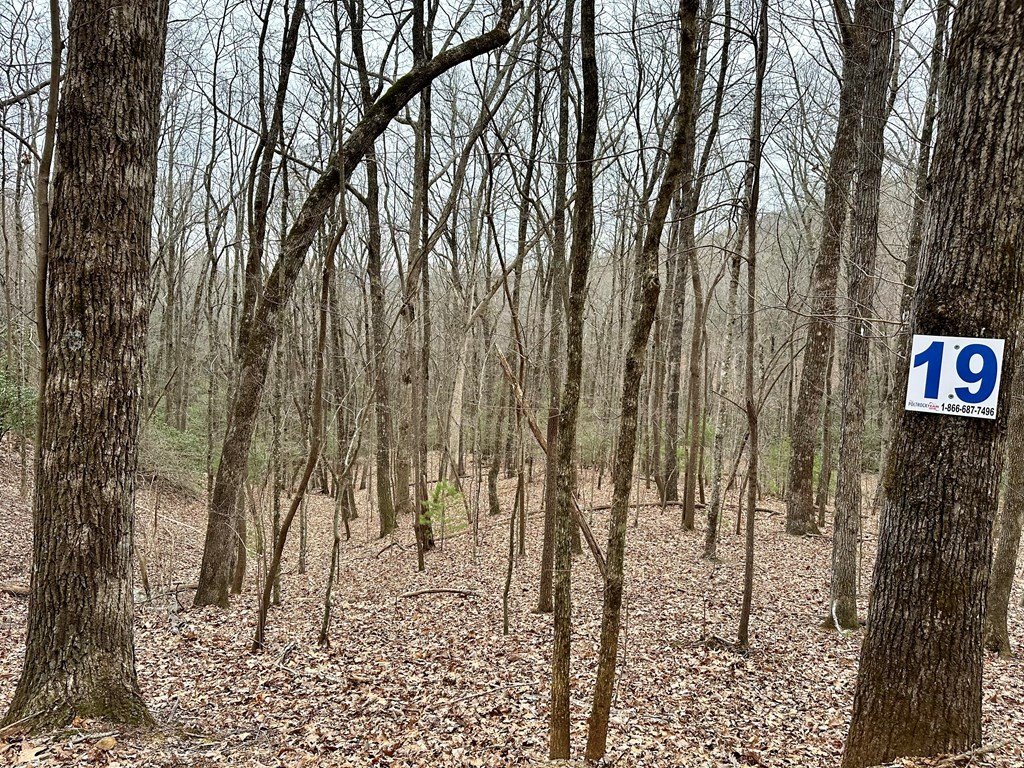 Picture 25