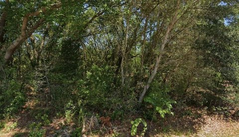 Land, DUNNELLON, FL