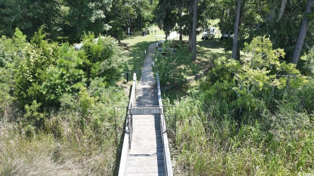Picture 11