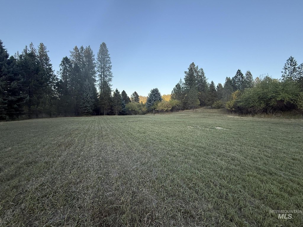 Picture 16
