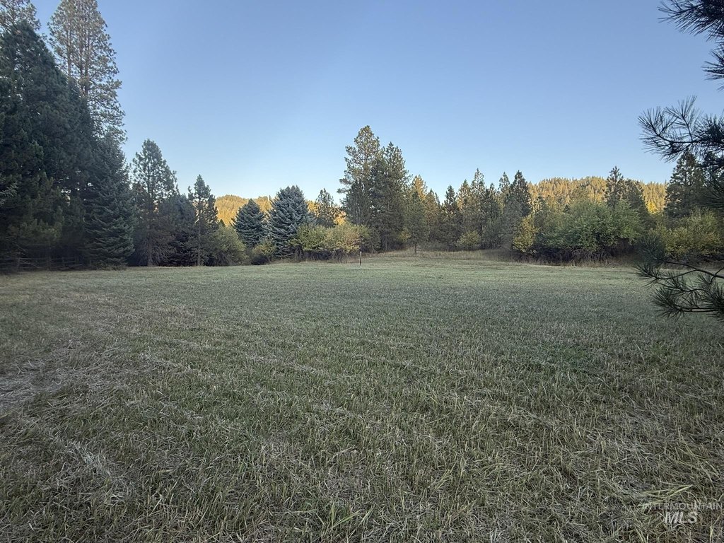 Picture 15