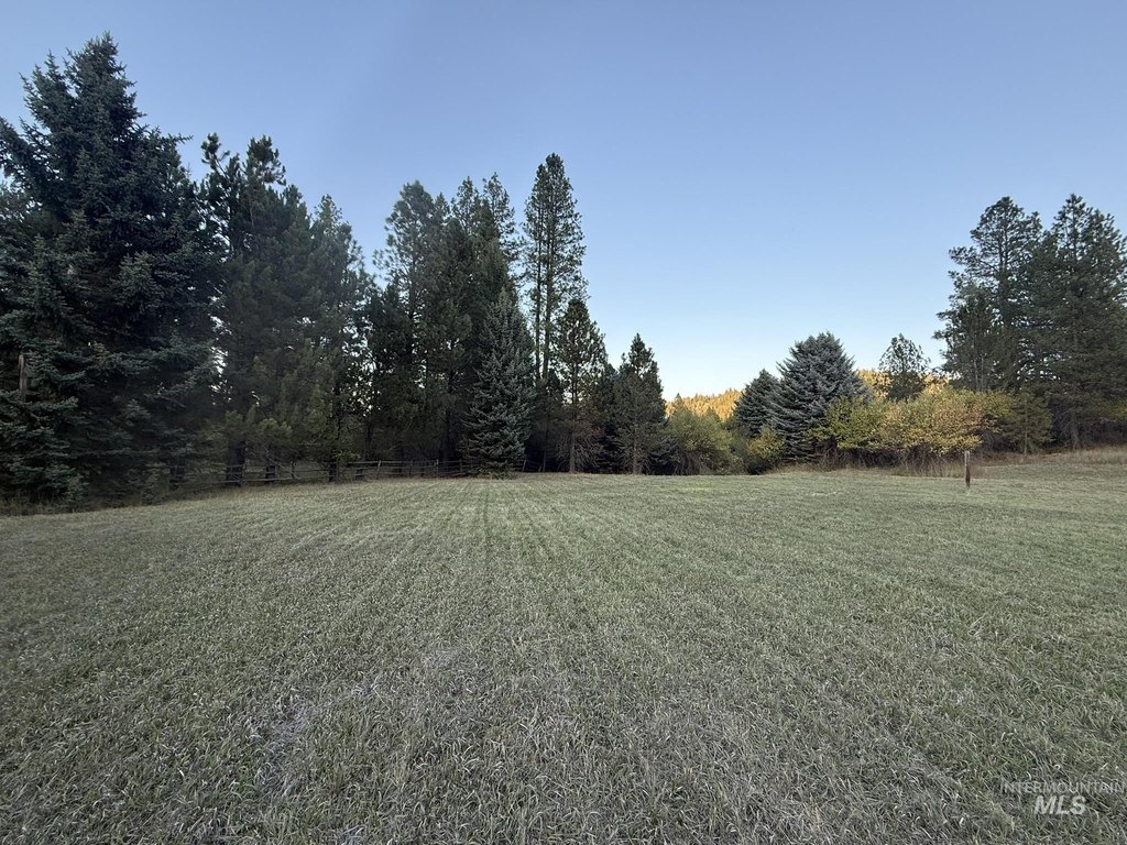 Picture 17