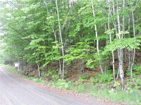 LAND - Bowerbank, ME