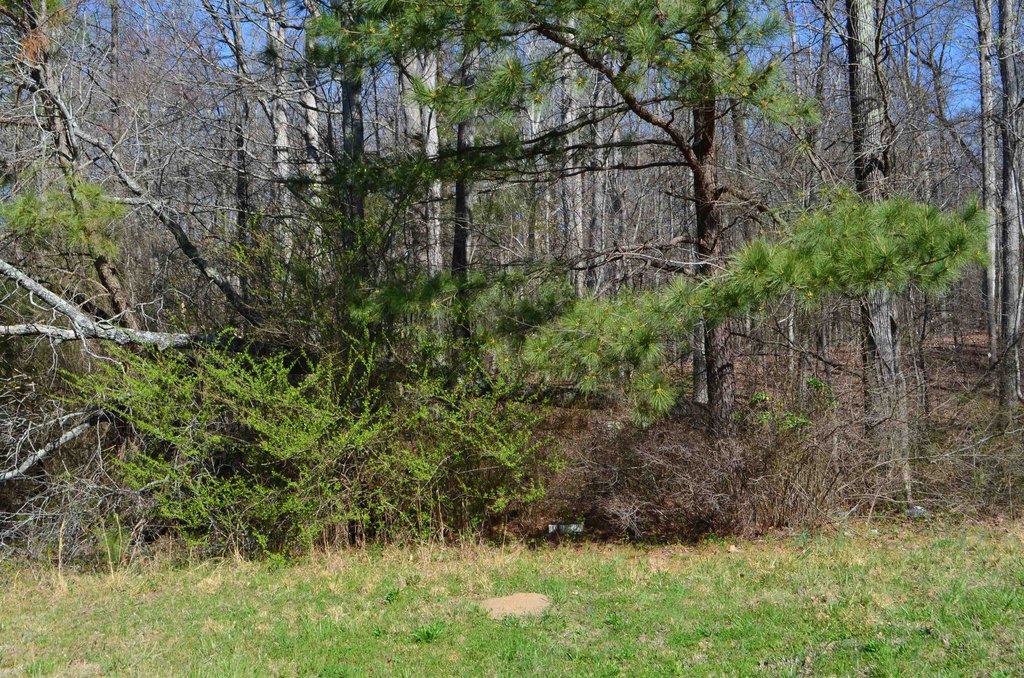 Picture 5